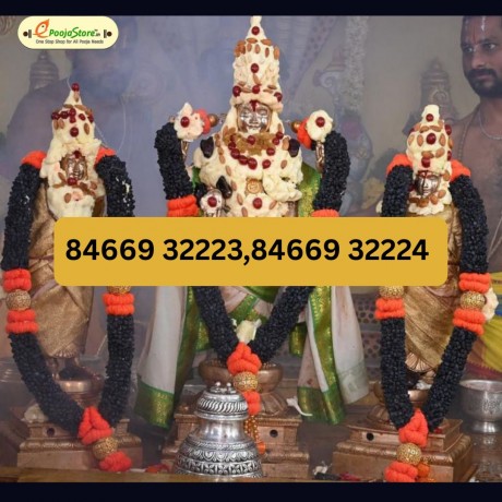 Sacred Dry Fruits Garland for All Deities